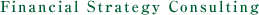 Financial Strategy Consulting