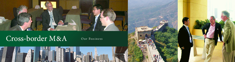 Cross-border Advisory / Our Business