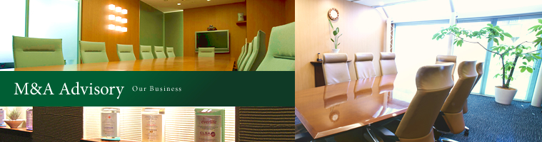 M&A Advisory / Our Business