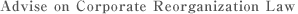 Advise on Corporate Reorganization Law