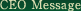 CEO Message