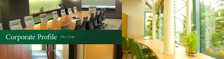 Corporate Profile / The Firm