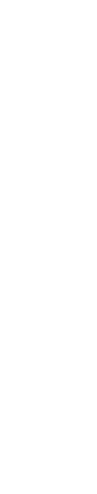 CEO Message