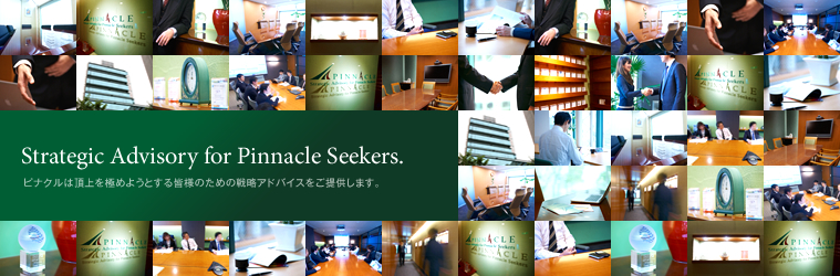Strategic Advisory for Pinnacle Seekers.