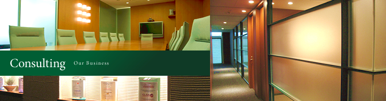 Consulting / Our Business