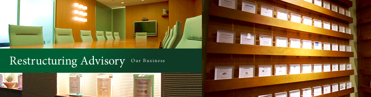 Restructuring Advisory / Our Business