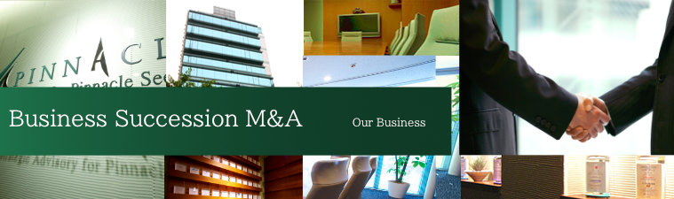 TT Solution/ Our Business